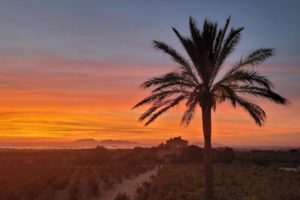 Weingut Marsala Weingut Marsala