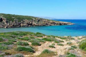 Kulinarischer Streifzug durch Sizilien Kulinarischer Streifzug durch Sizilien