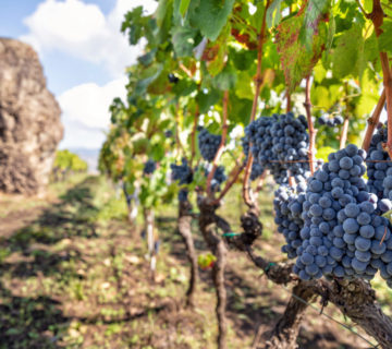 Geführte Touren in Kleingruppen