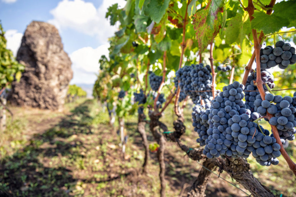 Sizilien Genussreise